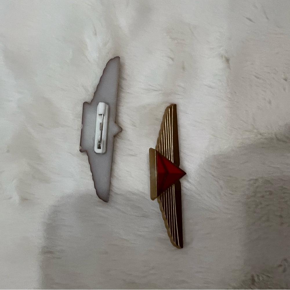 Delta Airline wings